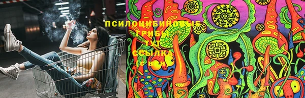 СК Снежинск