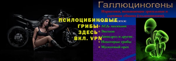 стаф Бронницы