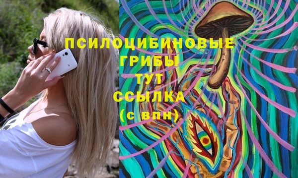 скорость Бородино
